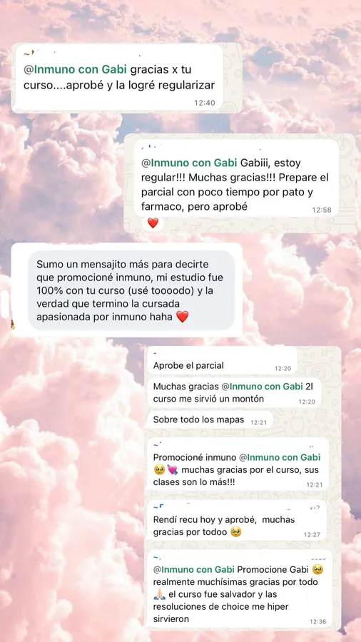 Mensaje de un alumno del curso (5 de 23)
