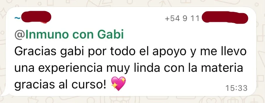 Mensaje de un alumno del curso (19 de 23)